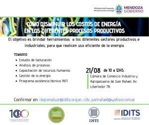 21/08 Taller: Cómo disminuir los costos de energía en los procesos productivos